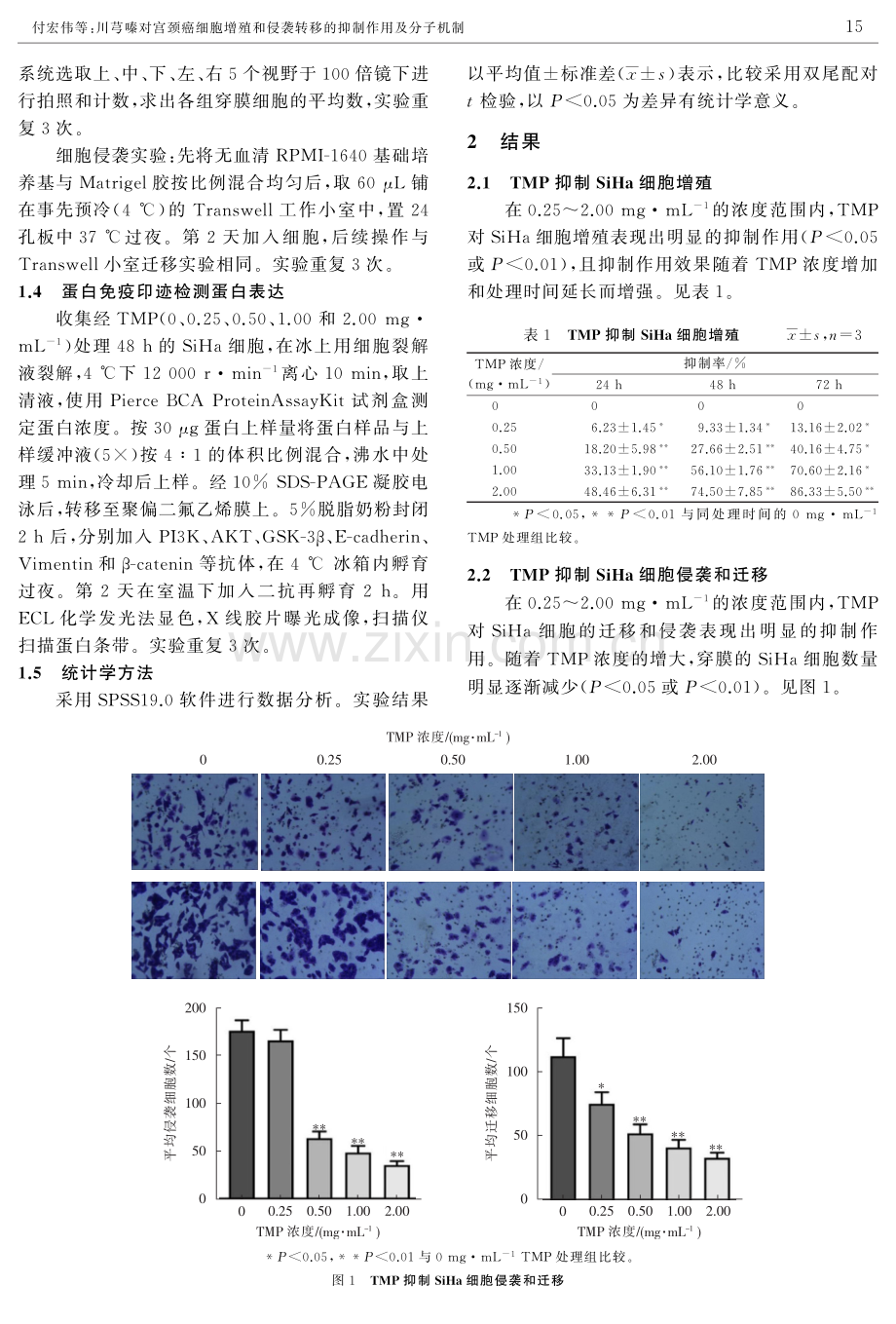 川芎嗪对宫颈癌细胞增殖和侵袭转移的抑制作用及分子机制.pdf_第3页