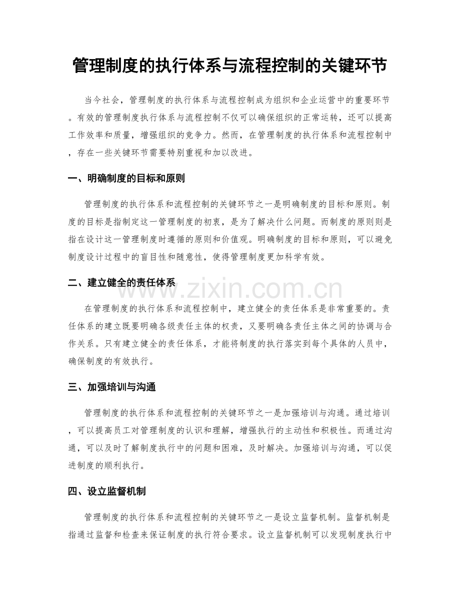 管理制度的执行体系与流程控制的关键环节.docx_第1页