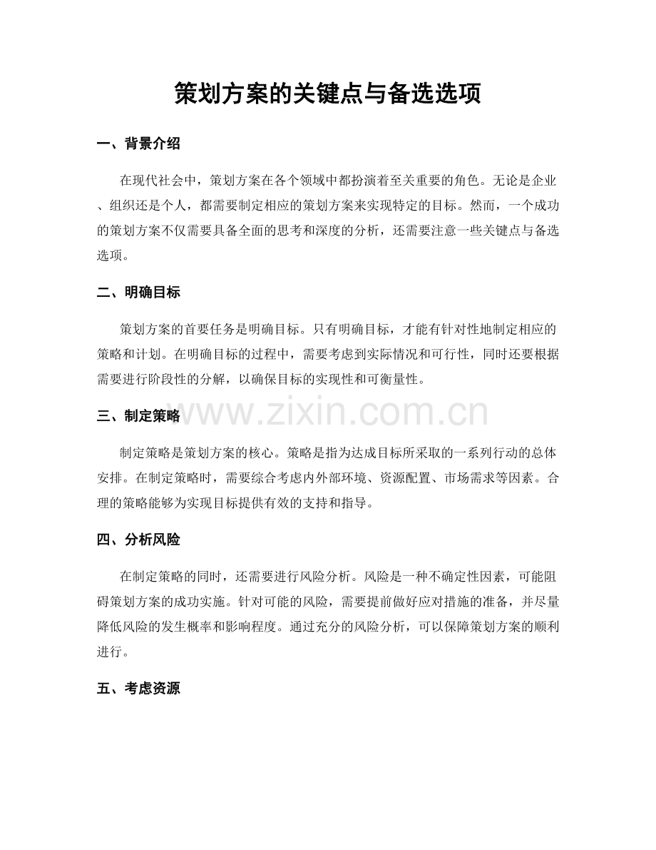 策划方案的关键点与备选选项.docx_第1页