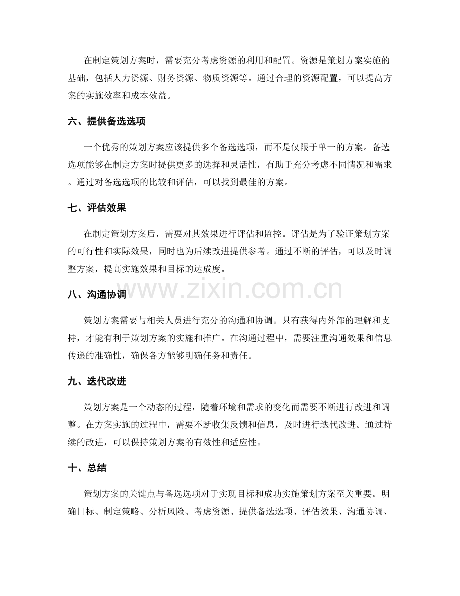 策划方案的关键点与备选选项.docx_第2页