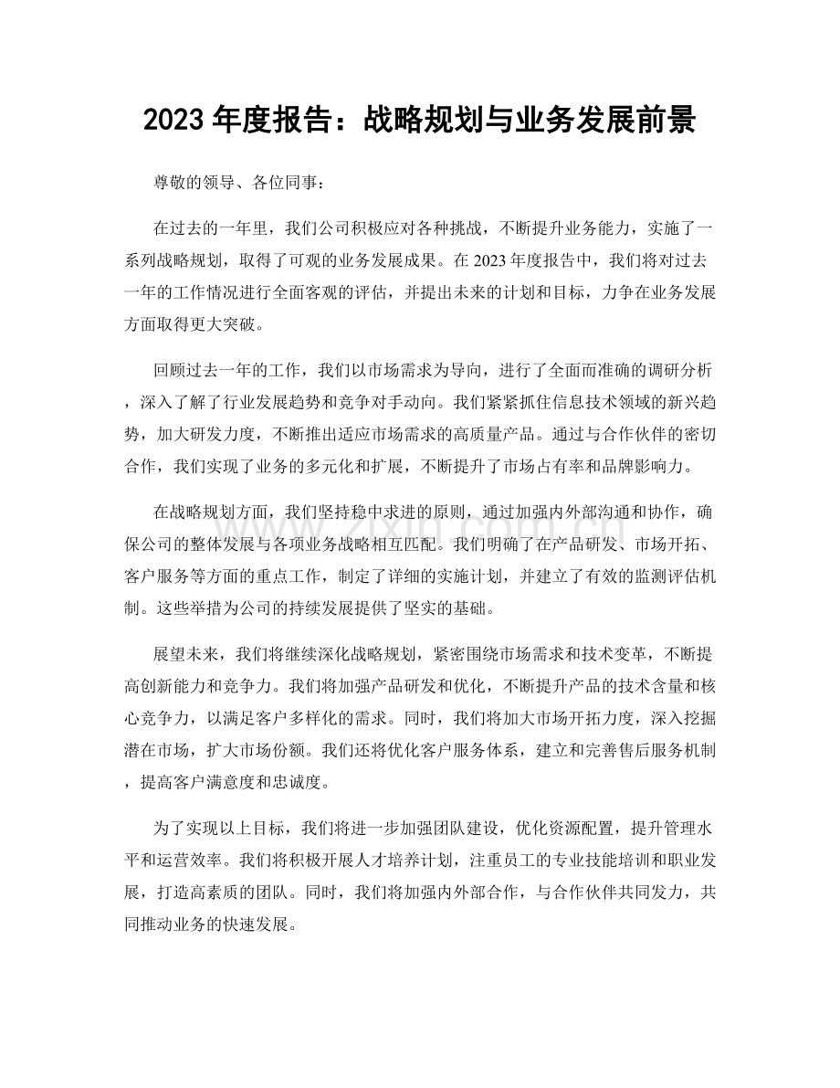 2023年度报告：战略规划与业务发展前景.docx_第1页