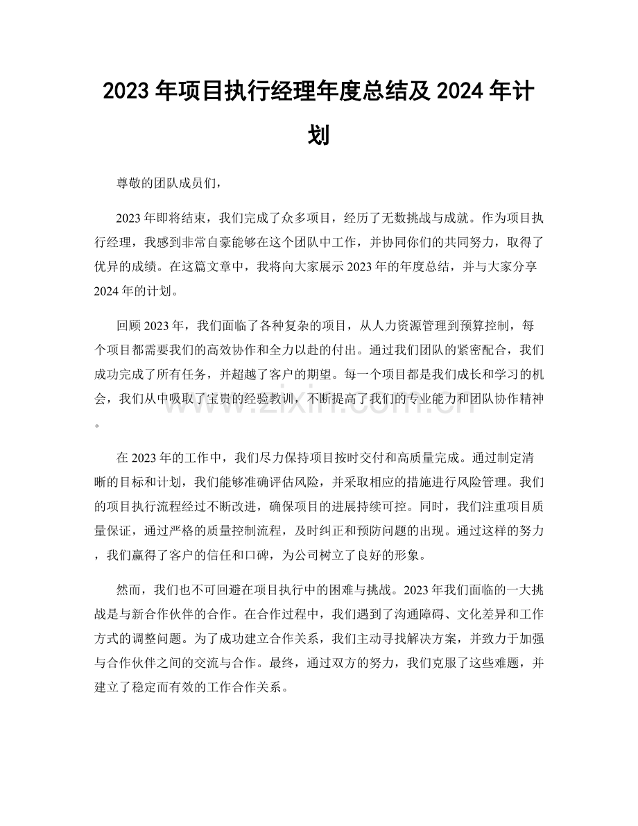 2023年项目执行经理年度总结及2024年计划.docx_第1页