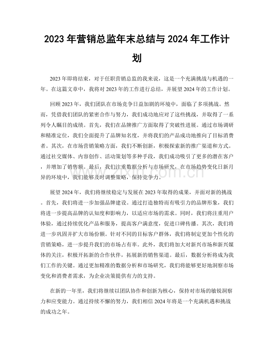 2023年营销总监年末总结与2024年工作计划.docx_第1页