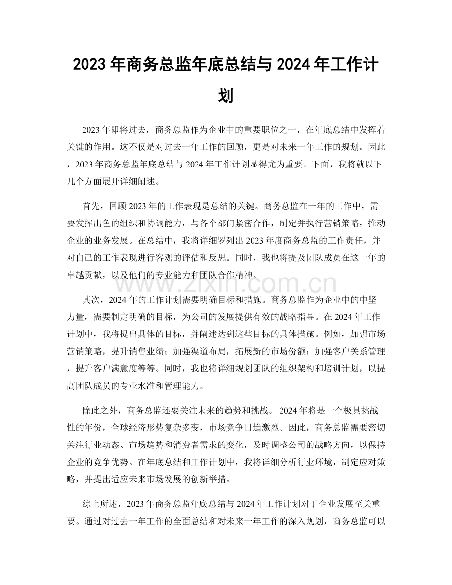 2023年商务总监年底总结与2024年工作计划.docx_第1页