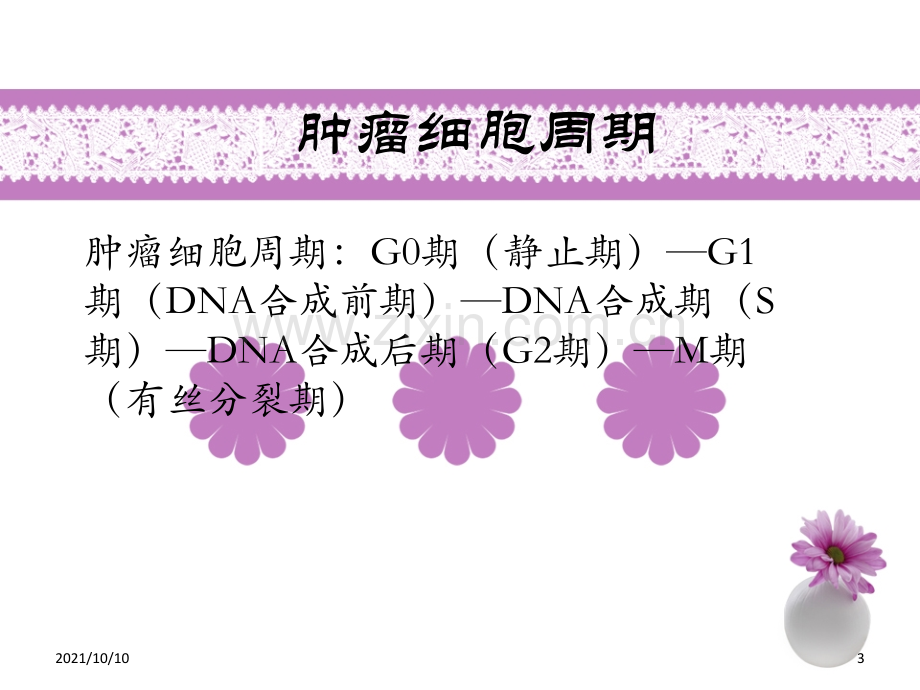 常见化疗药物顺序.ppt_第3页