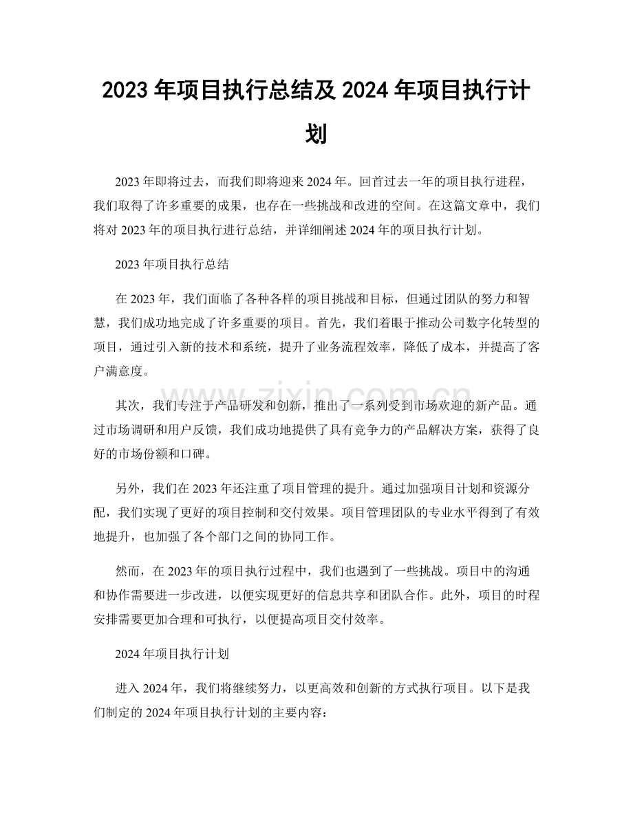 2023年项目执行总结及2024年项目执行计划.docx_第1页