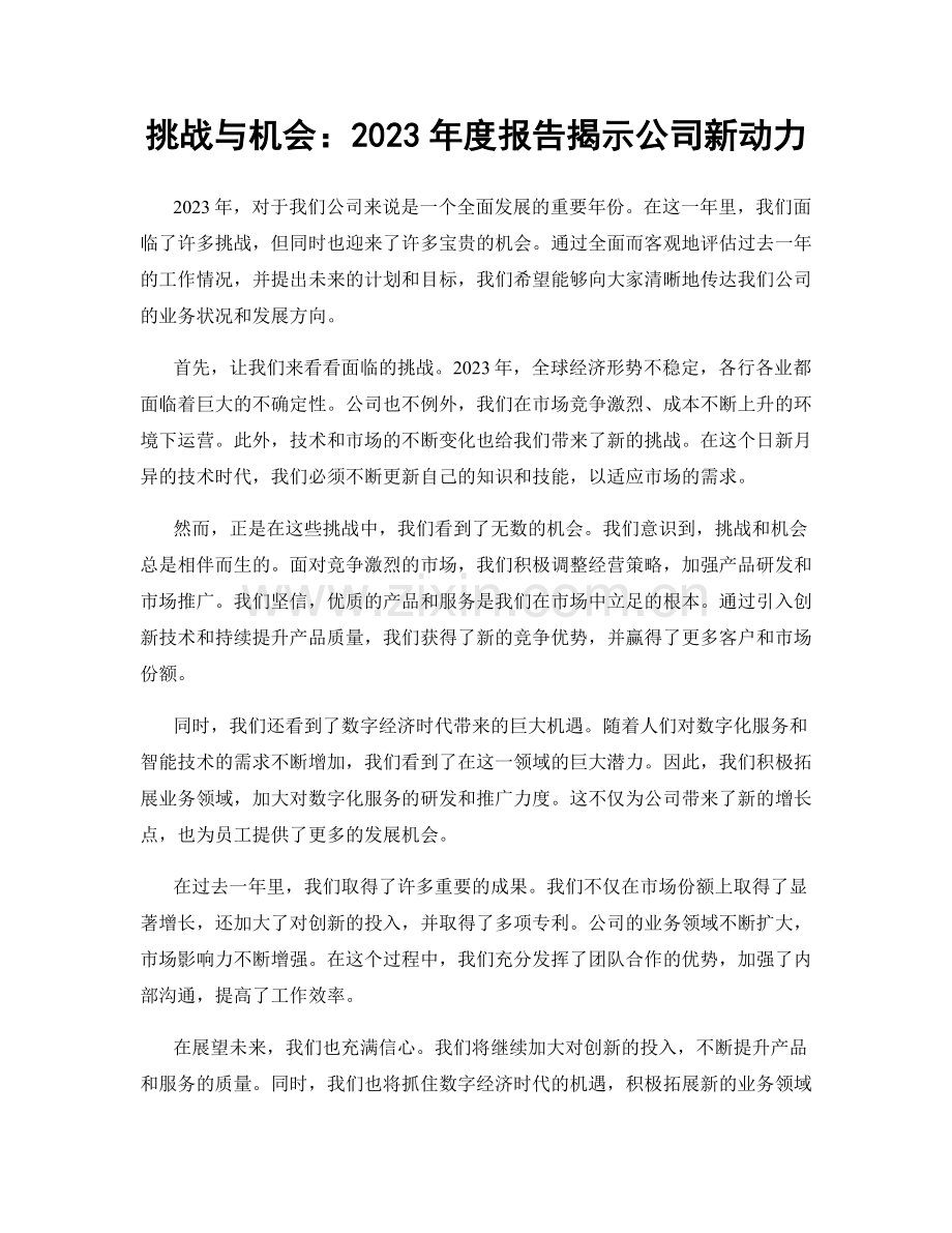 挑战与机会：2023年度报告揭示公司新动力.docx_第1页