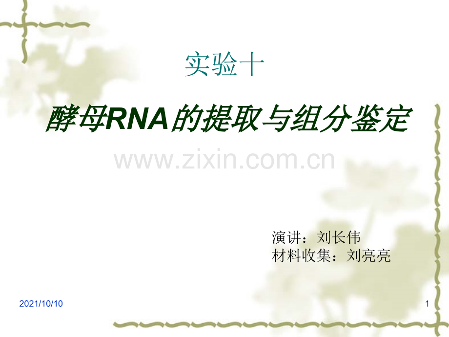 稀碱法提取RNA.ppt_第1页