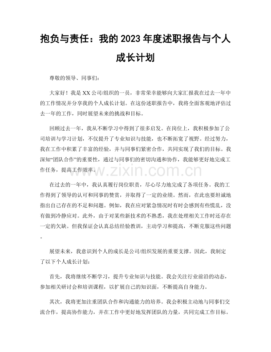 抱负与责任：我的2023年度述职报告与个人成长计划.docx_第1页