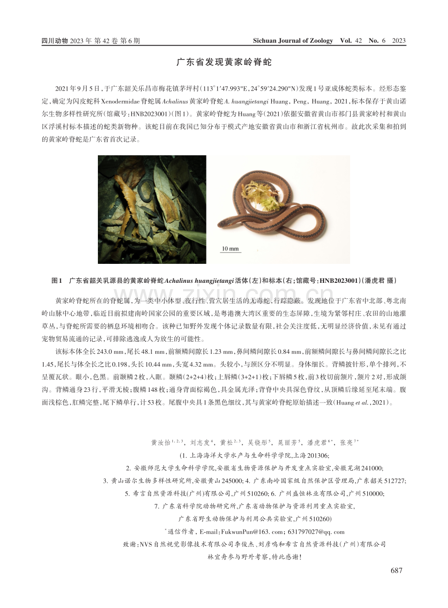 广东省发现黄家岭脊蛇.pdf_第1页