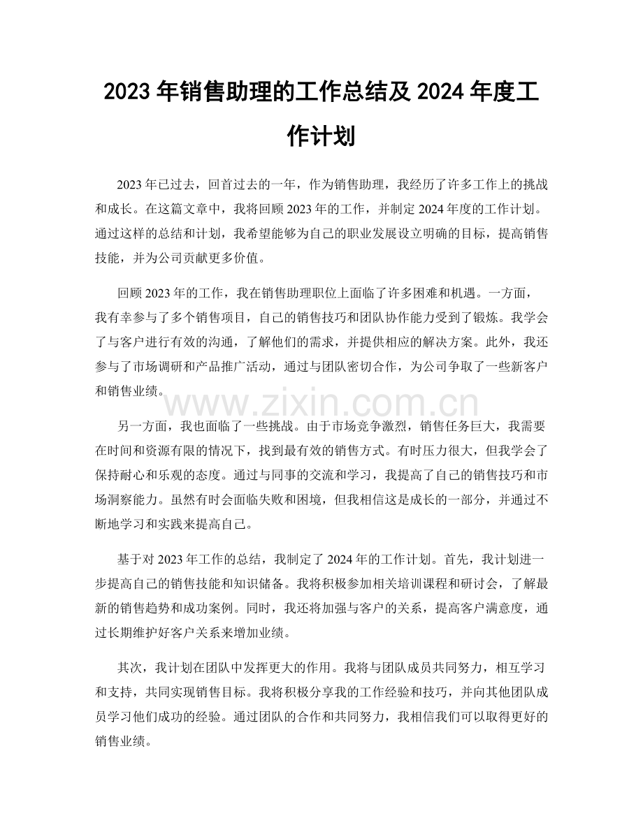 2023年销售助理的工作总结及2024年度工作计划.docx_第1页