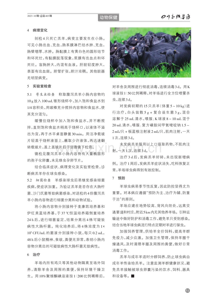 广西黑山羊球虫病诊治.pdf_第2页