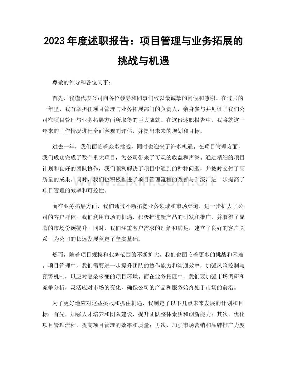 2023年度述职报告：项目管理与业务拓展的挑战与机遇.docx_第1页