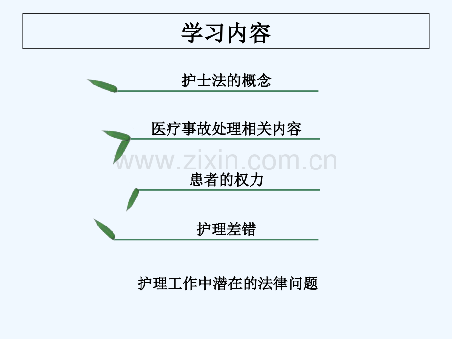 护理法律法规-PPT.ppt_第2页