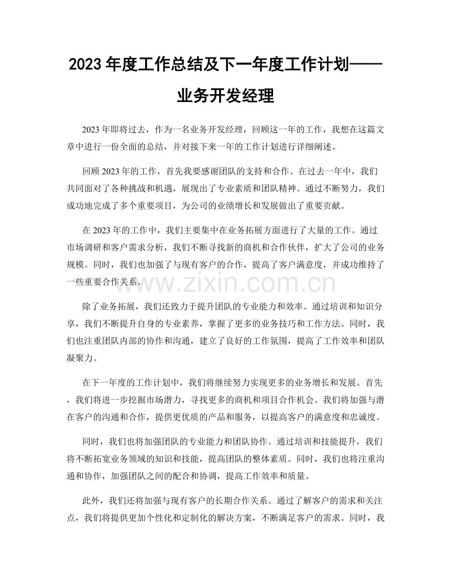 2023年度工作总结及下一年度工作计划——业务开发经理.docx_第1页