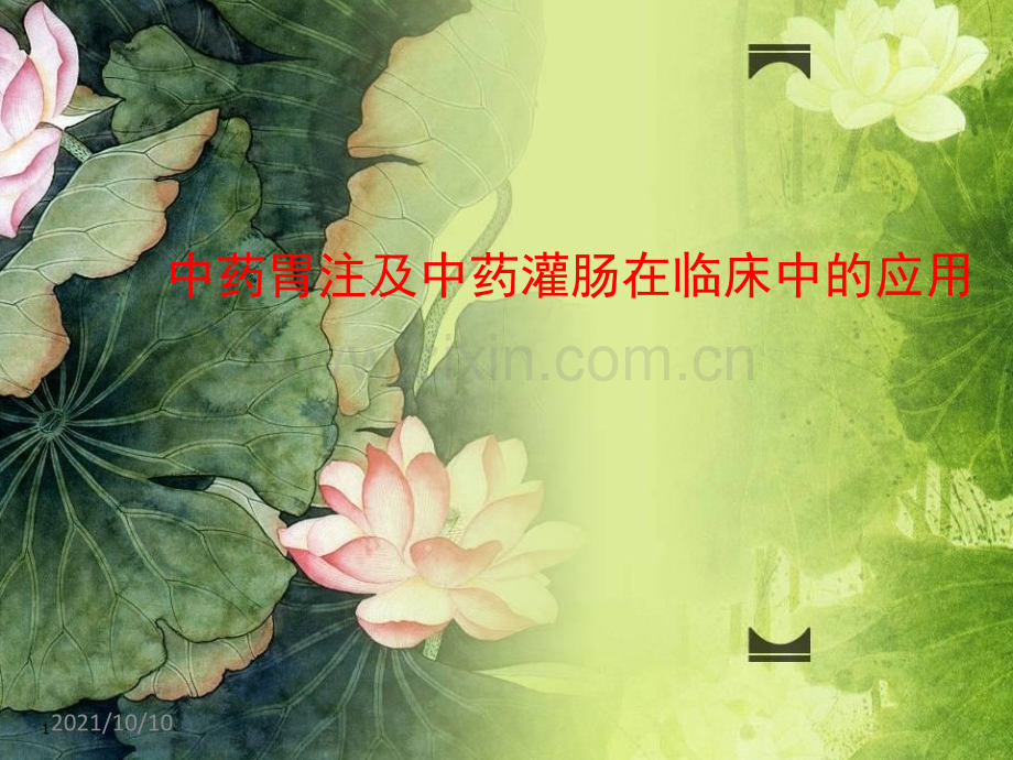 中药胃注及中药灌肠.ppt_第1页