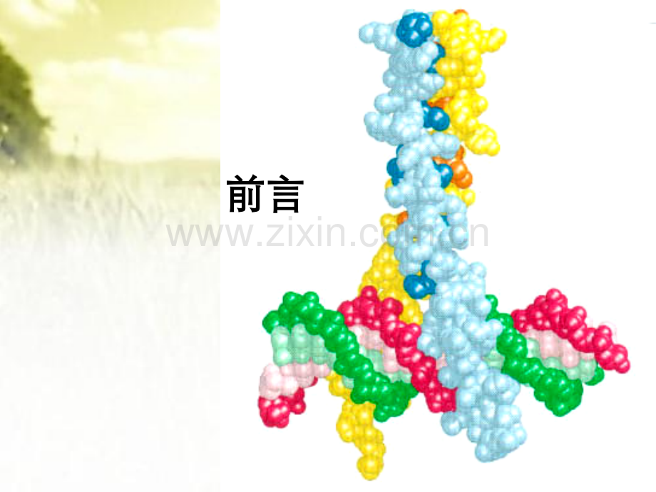 第六章原核生物基因表达调控.pptx_第2页