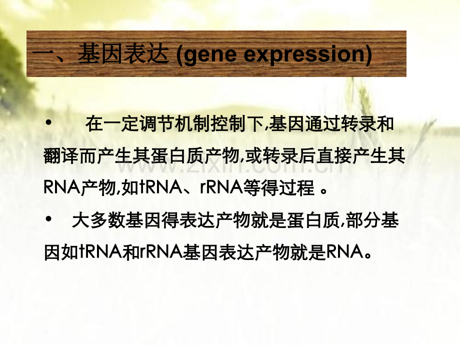 第六章原核生物基因表达调控.pptx_第3页