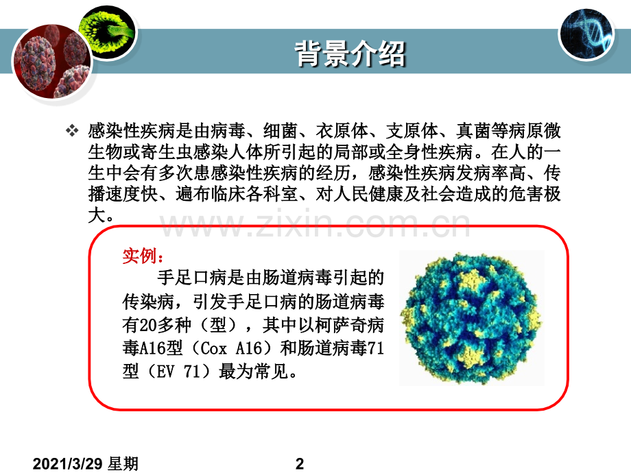 药物化学-第十二章-合成抗感染药.ppt_第2页