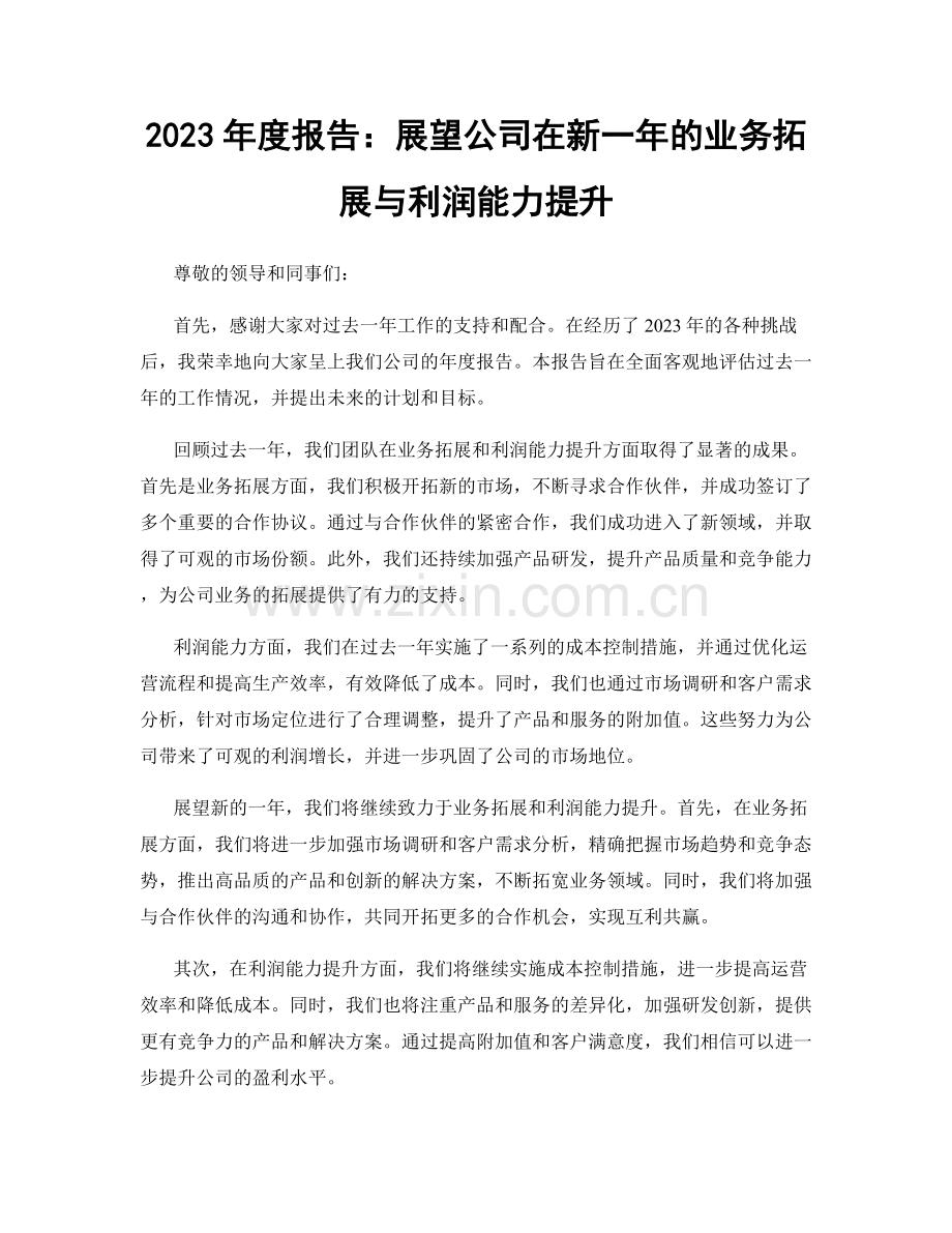 2023年度报告：展望公司在新一年的业务拓展与利润能力提升.docx_第1页