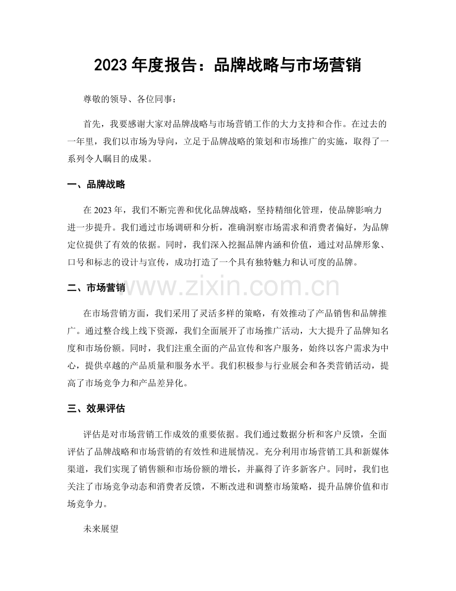 2023年度报告：品牌战略与市场营销.docx_第1页