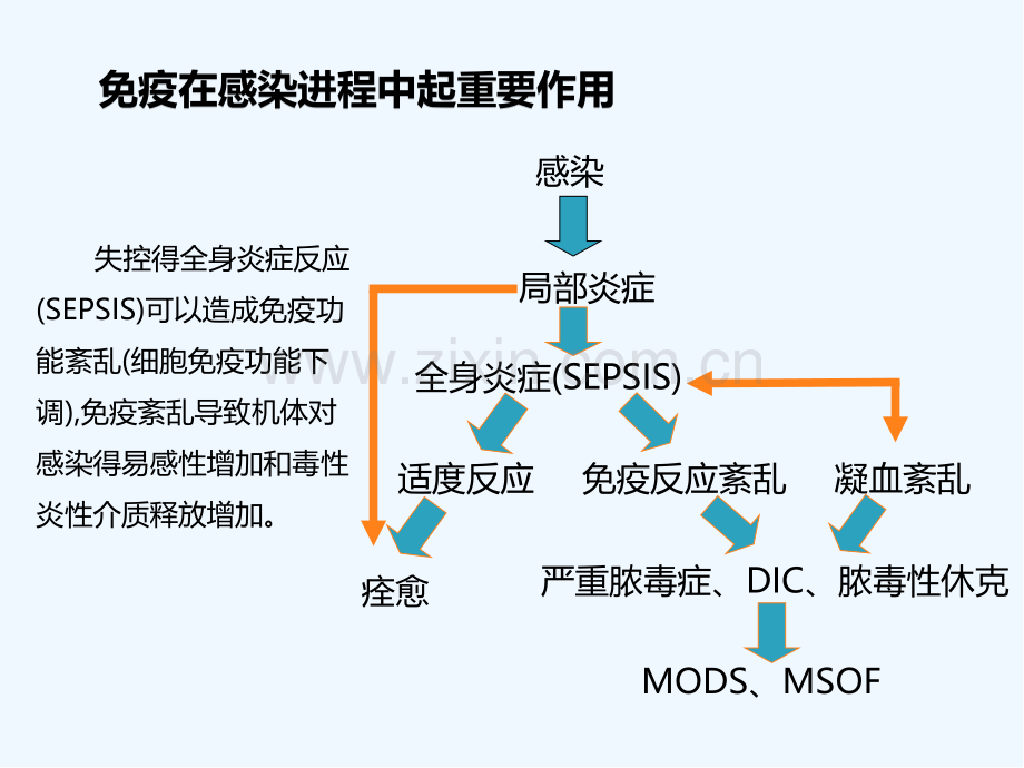 脓毒症与日达仙免疫治疗.pptx_第3页