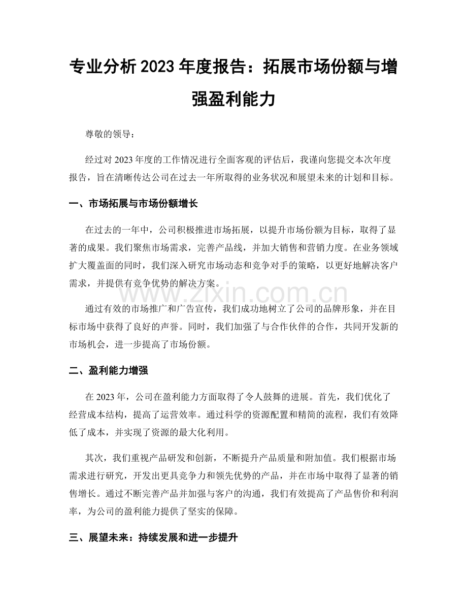 专业分析2023年度报告：拓展市场份额与增强盈利能力.docx_第1页