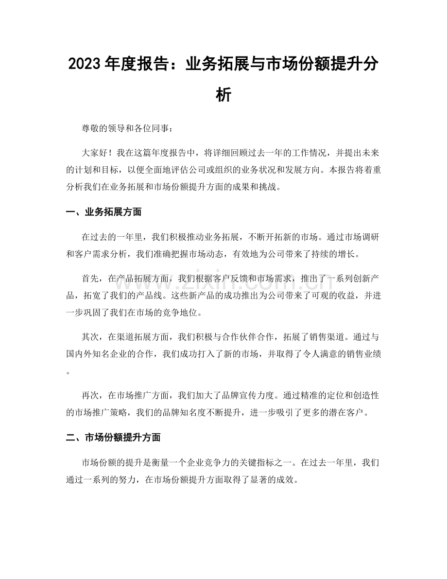 2023年度报告：业务拓展与市场份额提升分析.docx_第1页