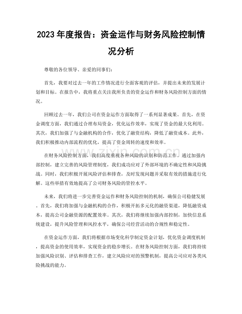 2023年度报告：资金运作与财务风险控制情况分析.docx_第1页