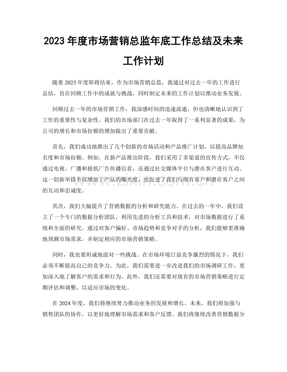 2023年度市场营销总监年底工作总结及未来工作计划.docx_第1页