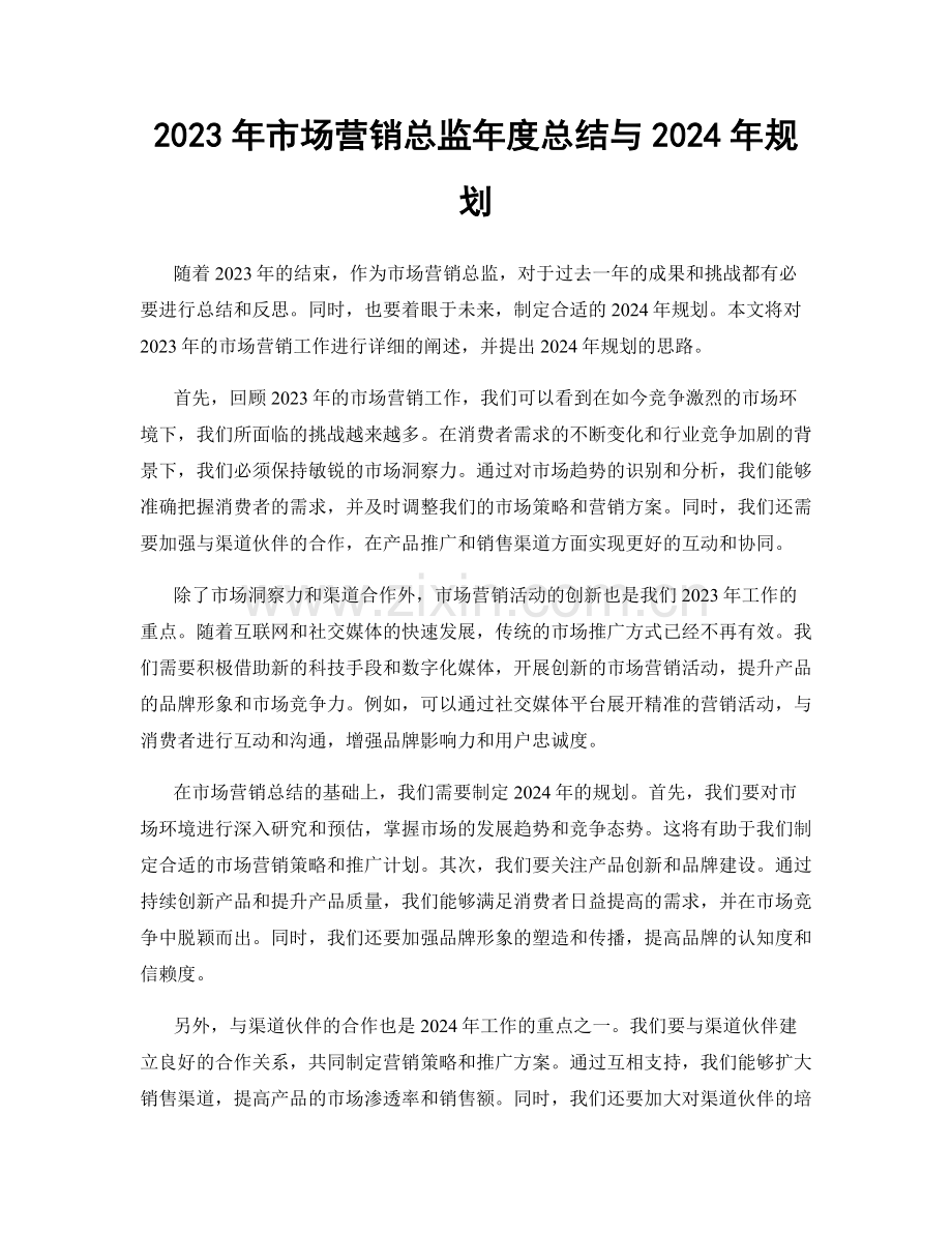 2023年市场营销总监年度总结与2024年规划.docx_第1页