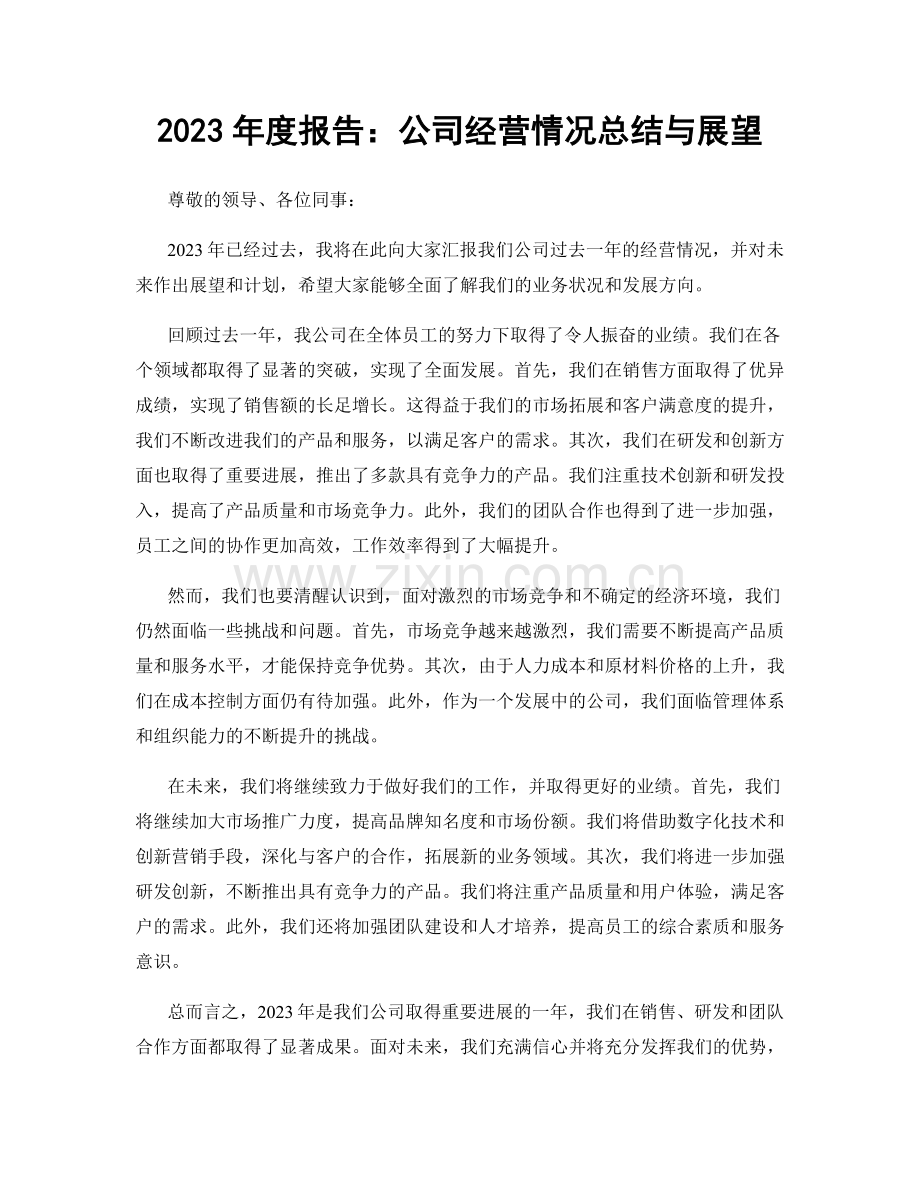 2023年度报告：公司经营情况总结与展望.docx_第1页