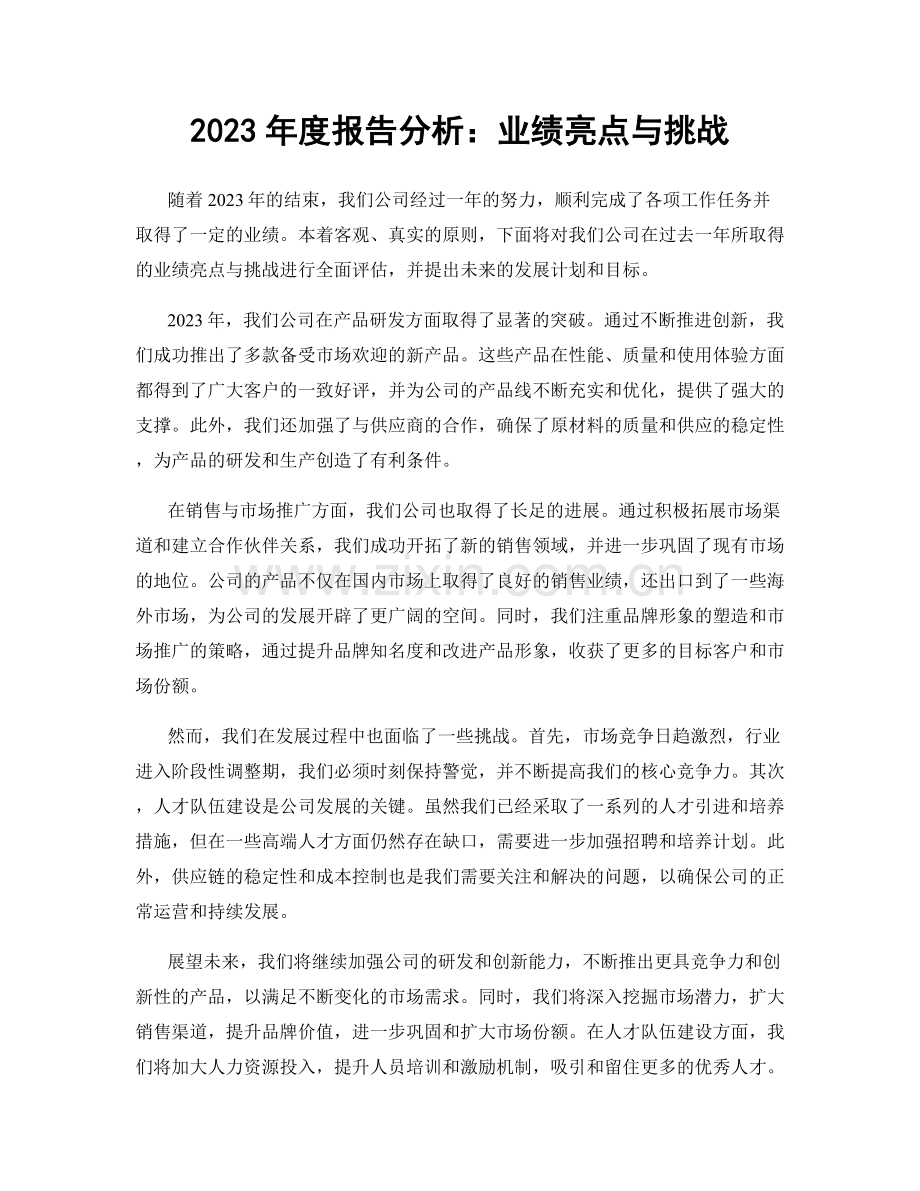 2023年度报告分析：业绩亮点与挑战.docx_第1页