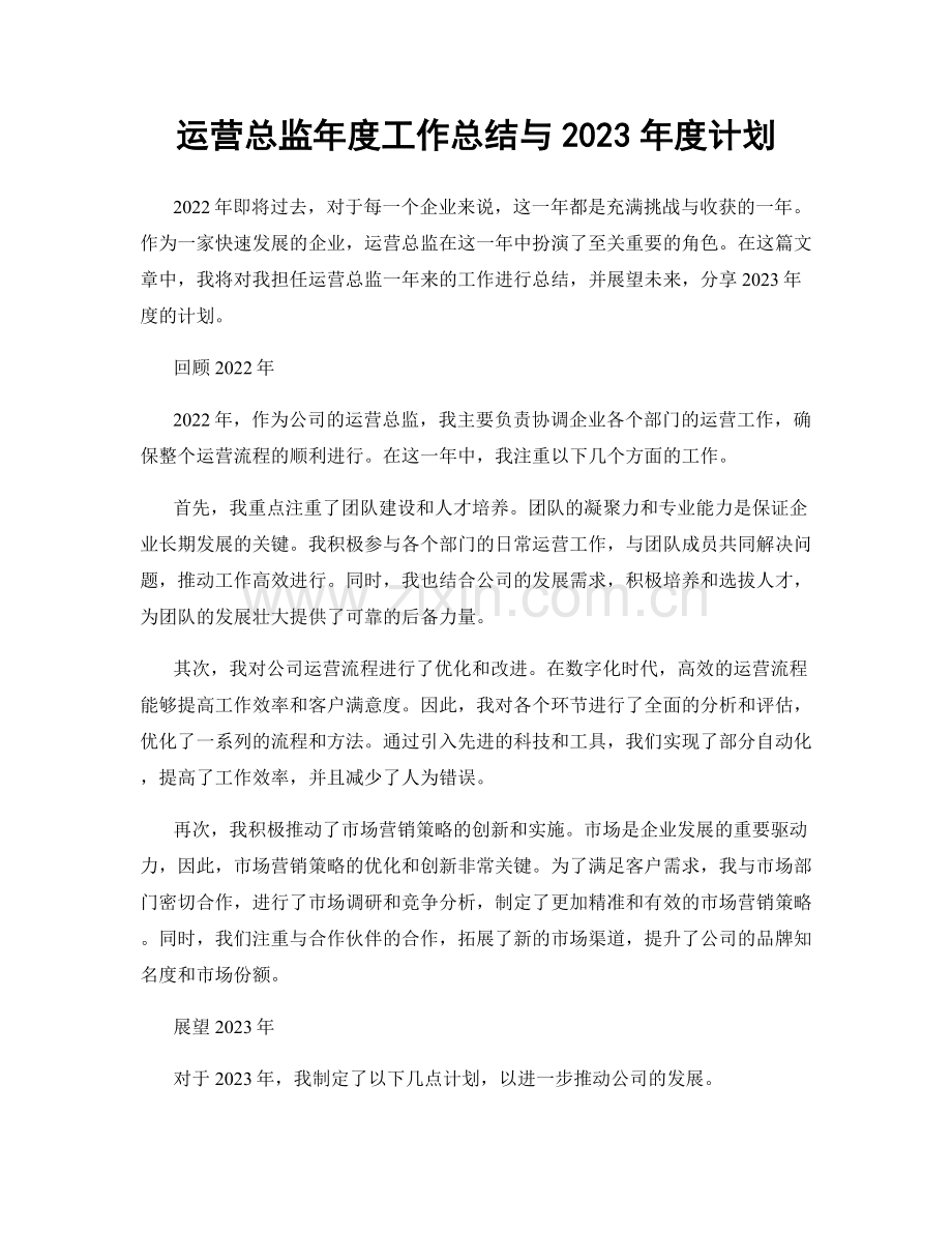 运营总监年度工作总结与2023年度计划.docx_第1页