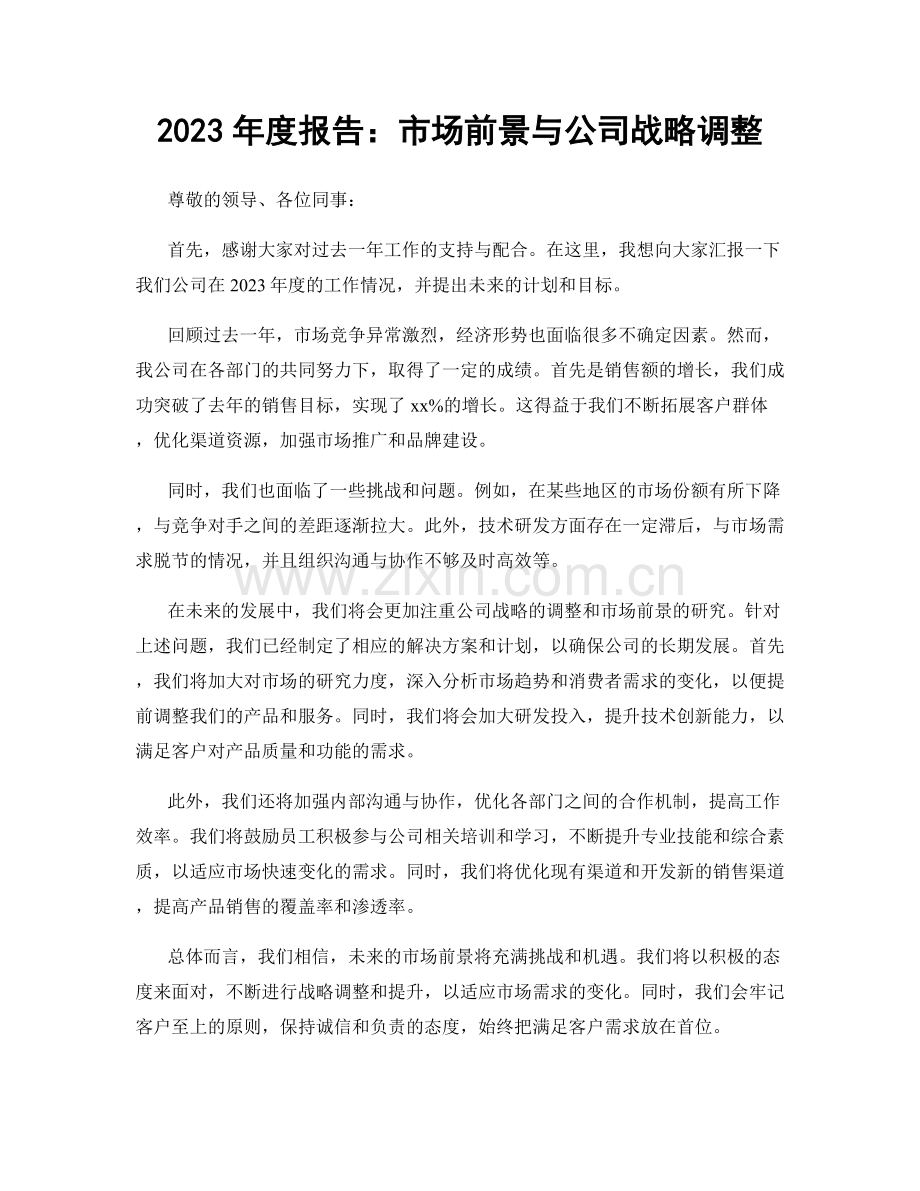 2023年度报告：市场前景与公司战略调整.docx_第1页