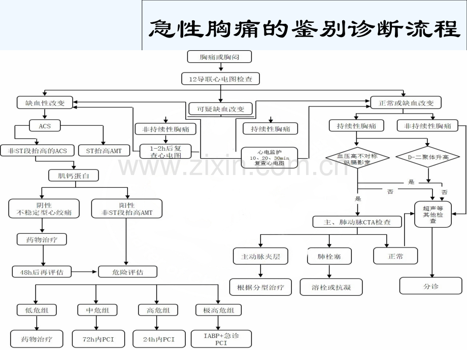 胸痛患者的救治流程-PPT.ppt_第3页