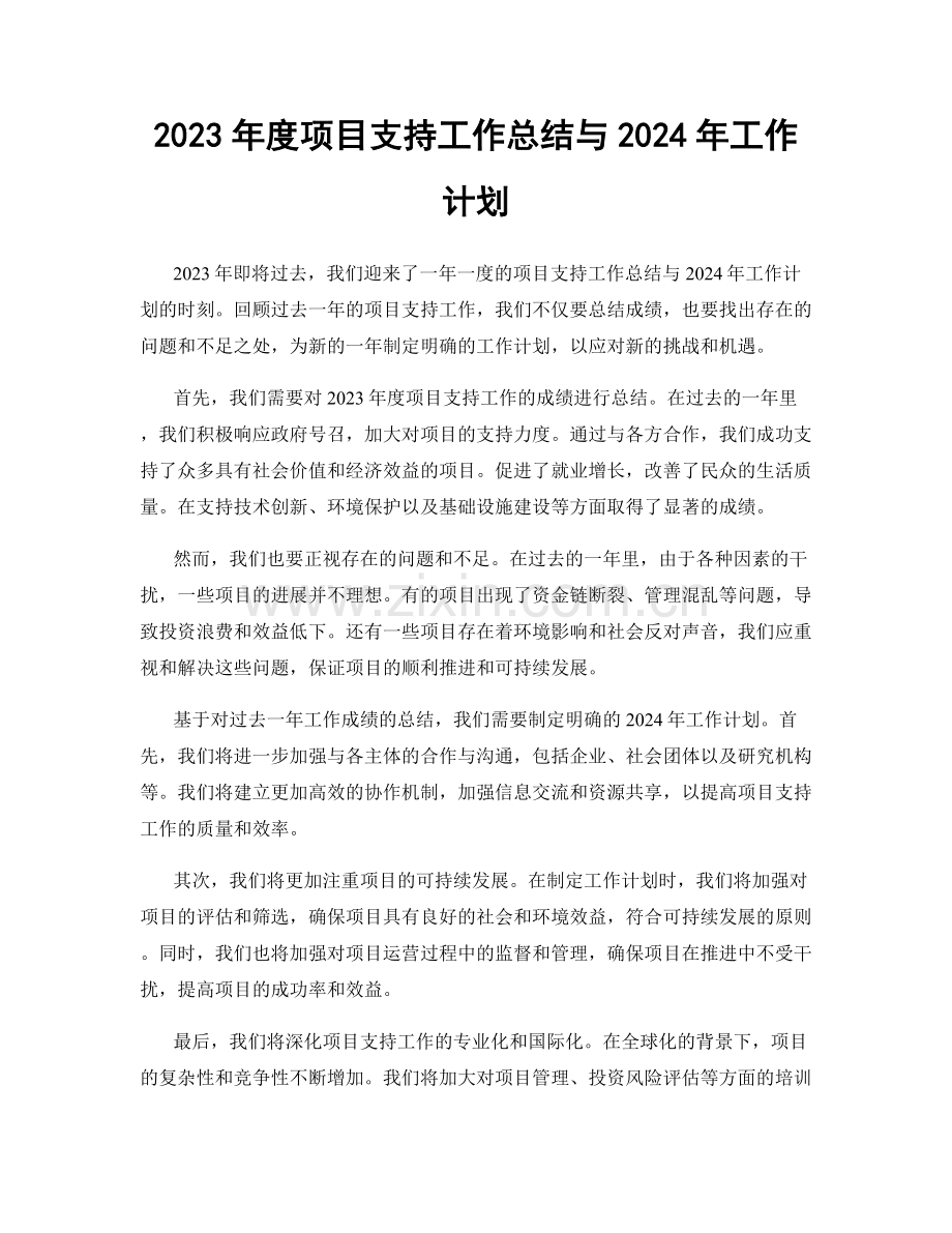 2023年度项目支持工作总结与2024年工作计划.docx_第1页