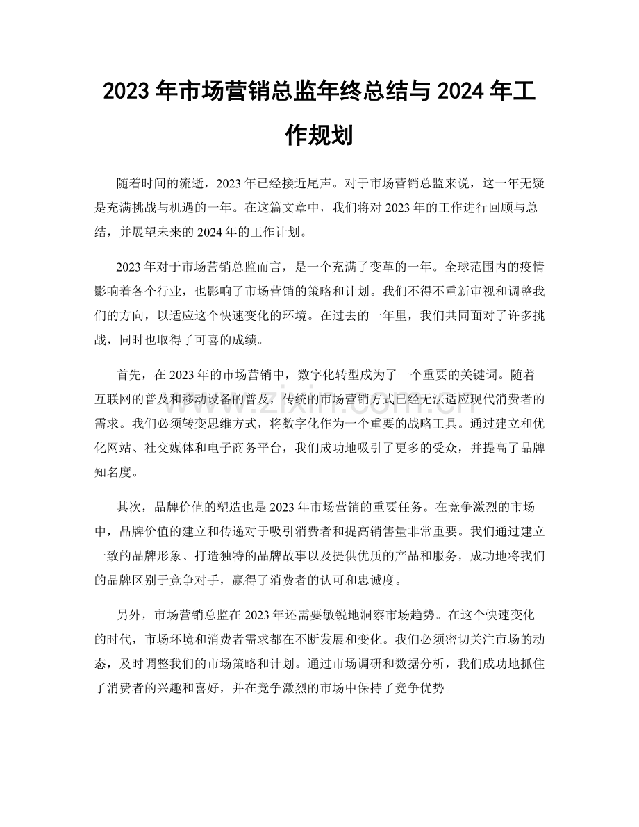 2023年市场营销总监年终总结与2024年工作规划.docx_第1页