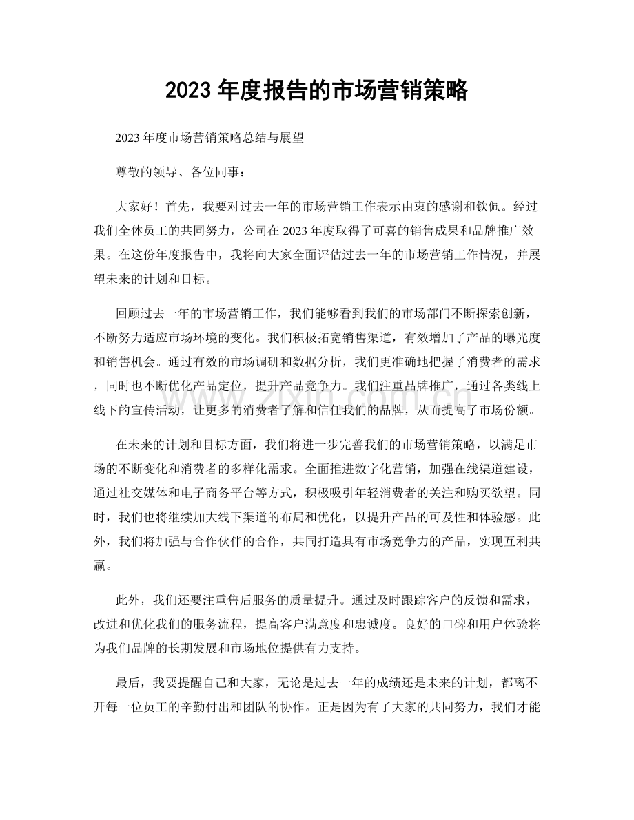 2023年度报告的市场营销策略.docx_第1页