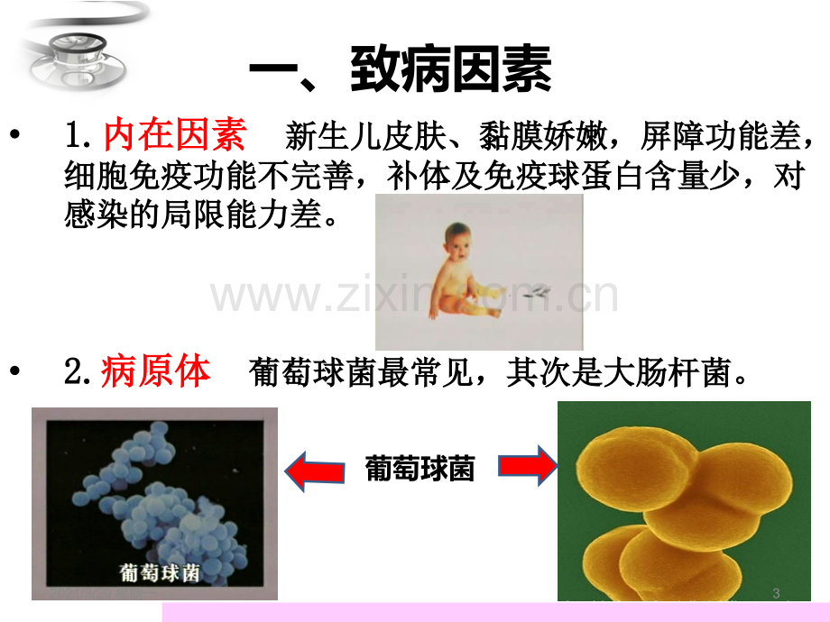 新生儿败血症课件.ppt_第3页