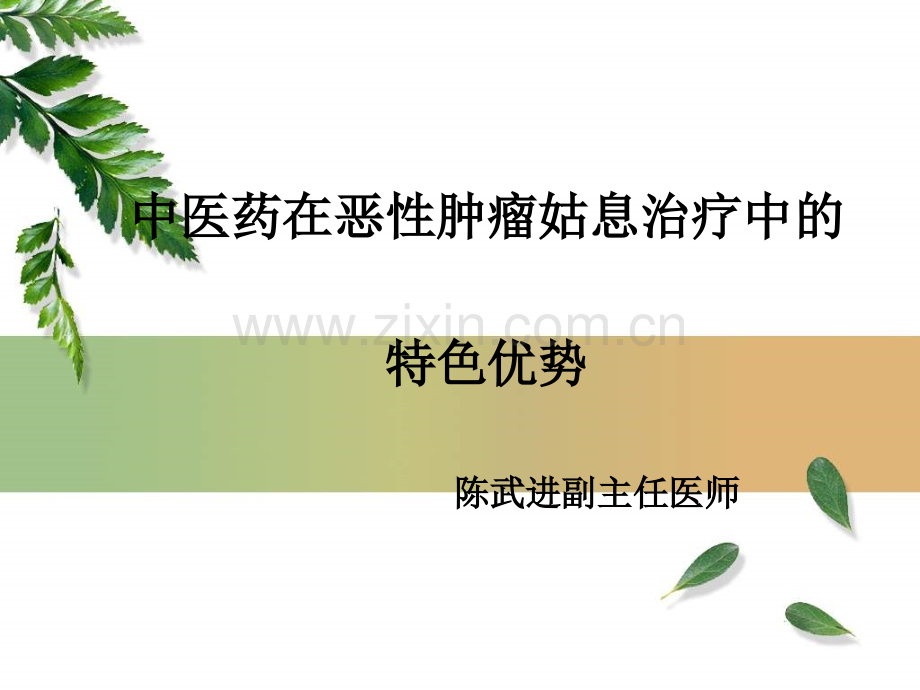 中医药肿瘤姑息治疗2015.06.ppt_第1页