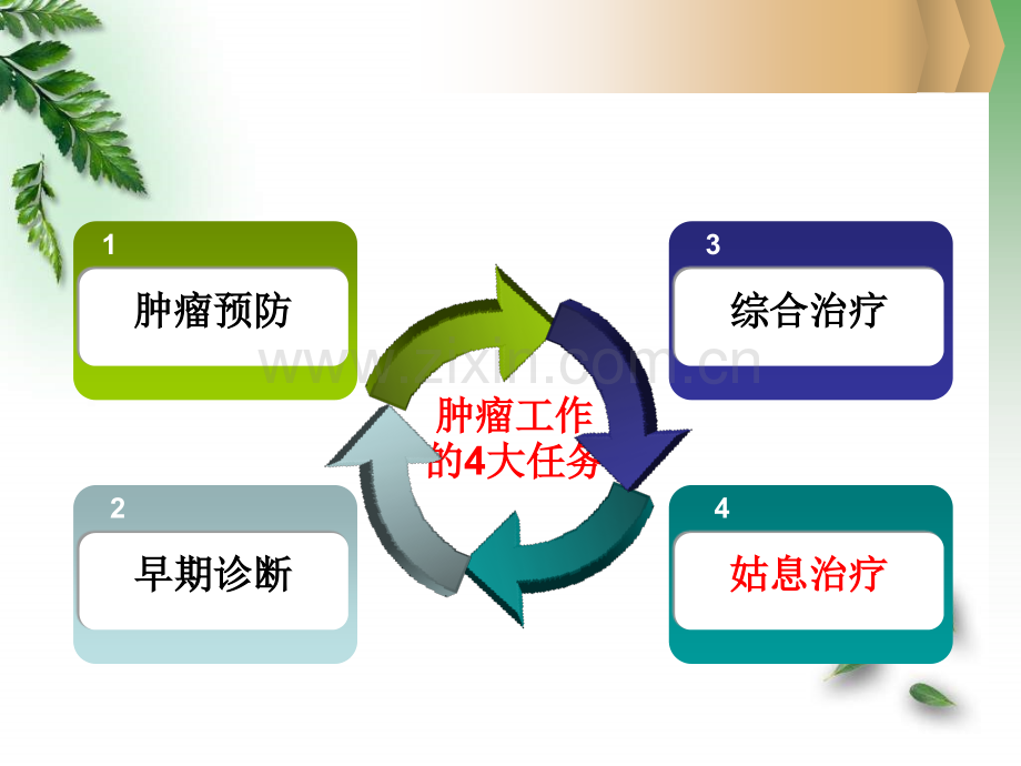 中医药肿瘤姑息治疗2015.06.ppt_第3页