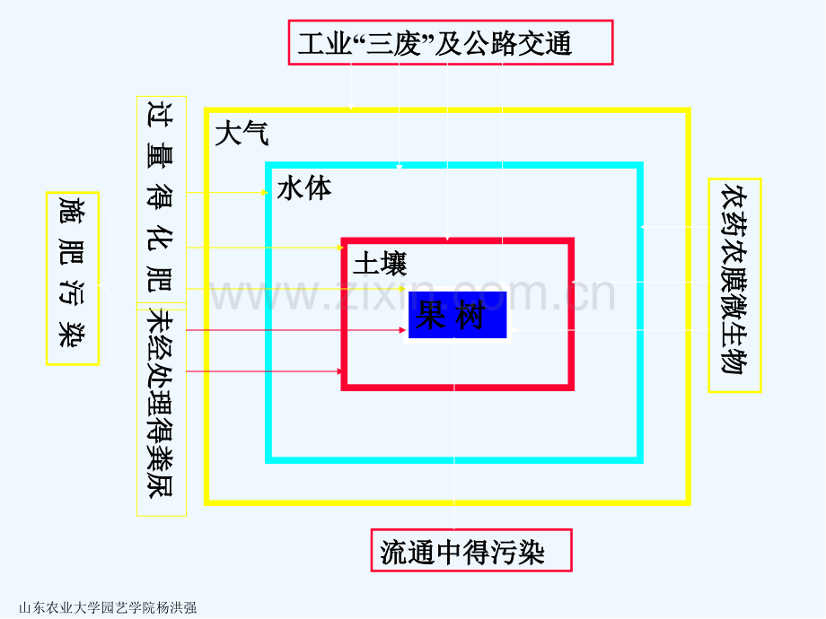 第三章果品污染途径与防治-PPT.pptx_第2页