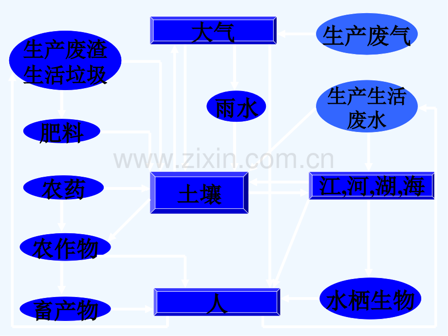 第三章果品污染途径与防治-PPT.pptx_第3页