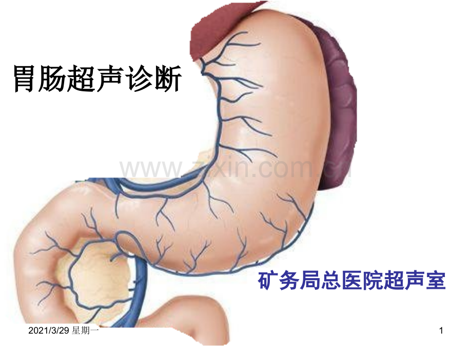 胃肠超声诊断.ppt_第1页