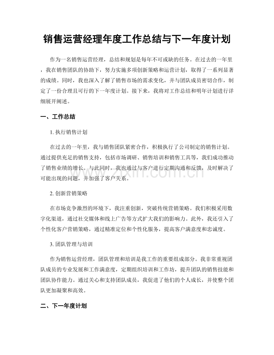 销售运营经理年度工作总结与下一年度计划.docx_第1页