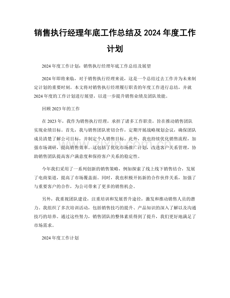 销售执行经理年底工作总结及2024年度工作计划.docx_第1页