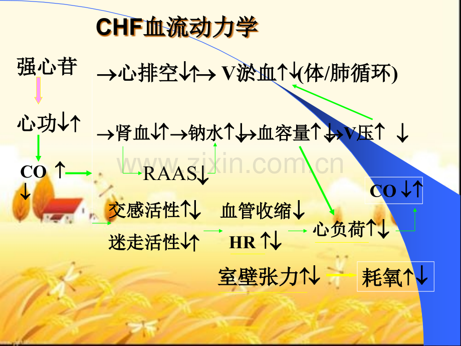 抗充血性心力衰竭药.pptx_第2页