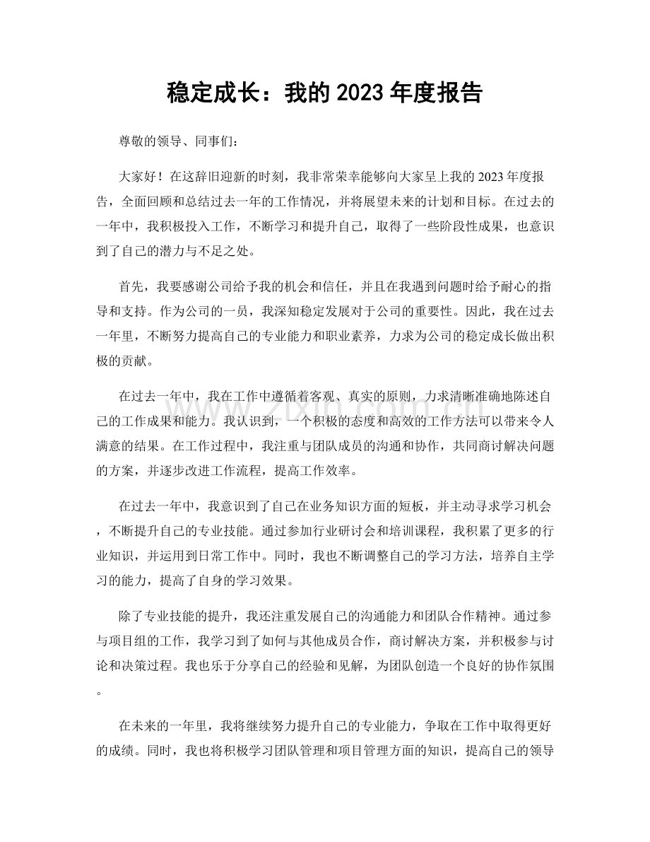 稳定成长：我的2023年度报告.docx_第1页