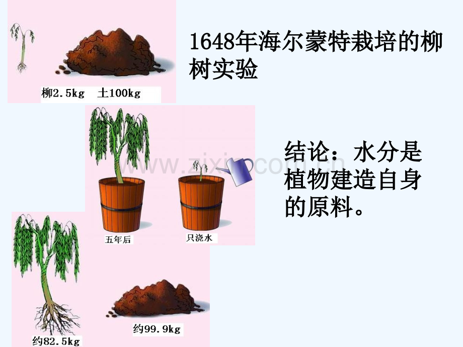 能量之源—光与光合作用第二课时--PPT.ppt_第3页